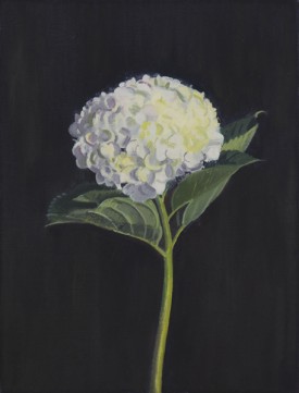 Ron Milewicz, Garden Flower, 2013. Oil on linen, 16 x 12 inches. Courtesy of Elizabeth Harris Gallery