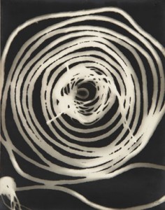 Rayograph, 1926, gelatin silver print. Private Collection, New York. © 2009 Man Ray Trust / Artists Rights Society (ARS), New York / ADAGP, Paris