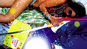 Jeremy Blake, Sodium Fox, 2005, still from DVD with sound, 14 minute continuous loop, Courtesy Feigen Contemporary