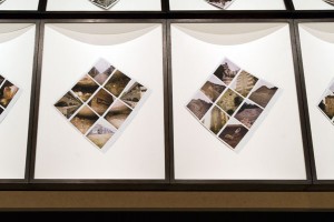 Cyprien Gaillard, From Geographical Analogies, 2006-09. Dye diffusion transfer prints (Polaroids), wood, glass, and cardboard , 25 9/16 x 18 7/8 x 3 15/16 inches. Courtesy the artist and Laura Bartlett Gallery, London / Bugada & Cargnel, Paris