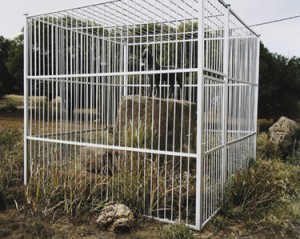 David Goldblatt, Monument Honouring the 'Contribution of the Horse to South African History,' Erected by the Rapportryers of Bethulie in 1982. Laura Rautenbach was the Sculptor. After the Theft of Bronze Oxen from a Voortrekker Monument in the Town, the Rapportryers Caged the Horse in Steel in 2004. Bethulie, Free State, 2005. Pigmented inkjet print, 21-5/8 x 27-1/4 inches. Museum of Modern Art, New York. Samuel J. Wagstaff, Jr. Fund. © 2010 David Goldblatt