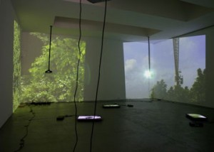 Diana Thater, installation shot, Continuous, Contiguous, David Zwirner, New York