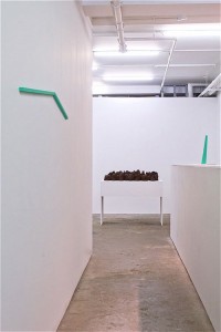installation shot of Brion Nuda Rosch at DCKT Contemporary, New York City, 2010