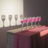 Suzanne Stroebe, Marriage of Convenience, 2010. Luan, silk, cordial glasses, dry pigment, slide projector, dimensions variable (detail). Courtesy of the Artist