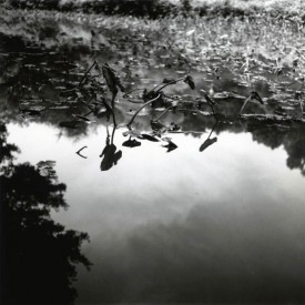 Part 1 of 3 parts: Deborah Garwood, Evans Pond, July 23, 2003. see article for full image and caption details