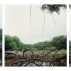 Deborah Garwood, Evans Pond, May 19, 2007 (3-part suite), 2009. Selenium toned gelatin silver prints, 18 x 18 inches each image, each sheet 24 x 20 inches. Courtesy of the Artist