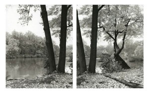 Deborah Garwood, Evans Pond, November 17, 2008 (2-part suite), 2009. Selenium toned gelatin silver prints, 21-1/2 x 16-3/4 inches each image, each sheet 24 x 20 inches. Courtesy of the Artist