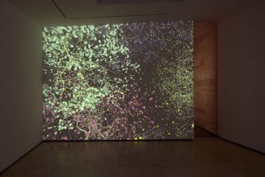 Jennifer Steinkampf, Orbit 7, 2010. 3-D computer animation, projected. Courtesy of Lehmann Maupin