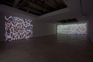 installation shot of Jennifer Steinkampf at Lehmann Maupin, New York City, 2010 with digital animation projections from the Premature series. Courtesy Lehmann Maupin