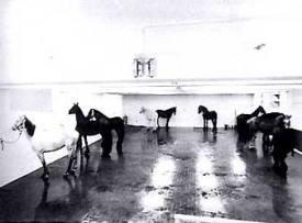 Jannis Kounellis, Untitled / 12 Live Horses, Rome, 1969