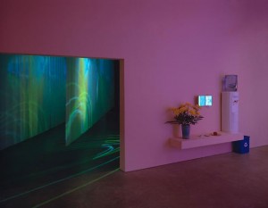 Pipilotti Rist, Heroes of Birth. Installation view, Luhring Augustine, 2010