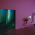 Pipilotti Rist, Heroes of Birth. Installation view, Luhring Augustine, 2010