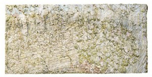 Larry Poons, Brahms in Rio, 1988. Acrylic on canvas, 84 x 171-1/2 inches. Courtesy of Loretta Howard Gallery.