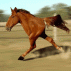anigif_bipedal-horse