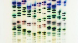 Jaq Chartier, details to follow. Courtesy of Morgan Lehman Gallery