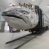 Huang Yong Ping, Leviathanation, 2011. Installation of fiberglass, stuffed animals, train, 47 x 210 x 34 m. Courtesy Tang Contemporary Art, Beijing.