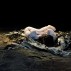 Eiko & Koma: Naked, a performance, photographed by Anna Lee Campbell, courtesy of the artists.