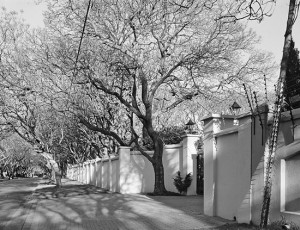 David Goldblatt, Second Avenue, Houghton, Johannesburg, 26 September 2006. Silver gelatin print on fibre based paper, 40 x 50 cm. Courtesy of Goodman Gallery, Johannesburg