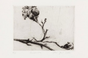 Jane Joseph, Sycamore, 2001. Drypoint, 10.5 x 14.1 cm. Courtesy of the Artist