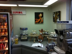 Works by Elizabeth Cooper installed at Art Station, Lukoil, September 2011. Photo by David Cohen