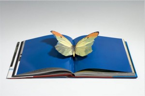 I Want To Spend the Rest of My Life Everywhere with Everyone, One to One, Always, Forever, Now by Damien Hirst (London: Booth-Clibborn Editions,1977) on view with 20th Century Art Archives at the E/AB Fair, New York, November 2011.