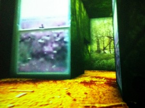 Mary Flanagan, [domestic], 2003. Projection. Courtesy of Postmasters Gallery