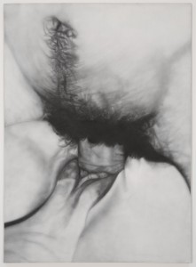 Betty Tompkins, Fuck Painting #4, 1972. Acrylic on canvas, 84 x 60 inches. Courtesy of Luxembourg Dayan