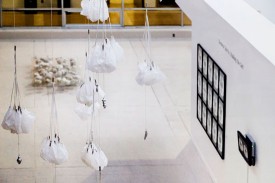 Installation shot, Cerebral Spirits: Stalking the Self at the William Paterson University Galleries, 2012, with work by Suzanne Anker in the foreground.