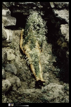 Ana Mendieta, El Yaagul, Oaxaca, Mexico, 1973, from the series Silueta Works in México, 1973?77, Color photograph, 20 x 13 in. (50.8 x 33 cm), Colección Patricia Phelps de Cisneros