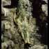 Ana Mendieta, El Yaagul, Oaxaca, Mexico, 1973, from the series Silueta Works in México, 1973?77, Color photograph, 20 x 13 in. (50.8 x 33 cm), Colección Patricia Phelps de Cisneros