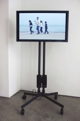 Mary Lucier, Beauty and the Beast, 2009-2013, SIngle-channel video. Color. Sound. 3:00 (installation view). Courtesy of Lennon, Weinberg, Inc.