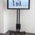 Mary Lucier, Beauty and the Beast, 2009-2013, SIngle-channel video. Color. Sound. 3:00 (installation view). Courtesy of Lennon, Weinberg, Inc.