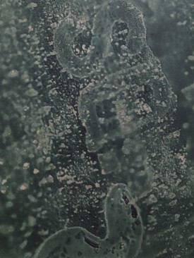 Daniel Lefcourt, Detail of Cast (Object Model), 2013, PBK31 (perylene green-black) pigment and urethane paint on canvas, 80 x 56 inches. Framed Dimensions: 138 x 120 by 21 inches. Courtesy of Mitchell-Innes & Nash, New York.