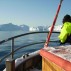 Jana Winderen, Disco Bay, 2007, field photograph, Greenland. Courtesy of the artist.