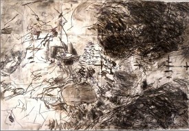 Connie Fox, Weeds 3, 2010. Charcoal, ink and acrylic on paper, 30-1/4 x 44 inches. Courtesy of Danese/Corey