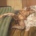 Lucian Freud, Nude with Leg Up (Leigh Bowery), 1992. Hirshhorn Museum and Sculpture Garden, Smithsonian Institution, Washington DC