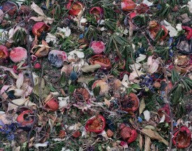 Tanya Marcuse, Fallen No. 439, 2013. Pigment print, 37-3/4 x 48 inches. Courtesy of Julie Saul Gallery.