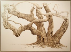 Anders Knutsson, Caucasian Wingnut, 2010. Acrylic on linen, 39 x 53 inches. Courtesy of Tabla Rasa Gallery.