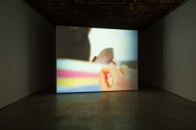 Belle Captive II, 2013 digital video with sound 6 minute loop. Courtesy the artist and Simon Preston, New York.