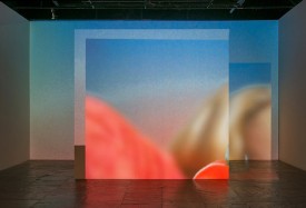 Victoria Fu, Belle Captive I, 2013, video with audio, 6 minute loop. edition 5 of 8 + 2 APs. Installed at the Whitney Biennial 2014. Courtesy of the artist and Simon Preston Gallery, New York.