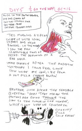 Matt Freedman, excerpt from Relatively Indolent But Relentless: A Cancer Treatment Journal, 2014.