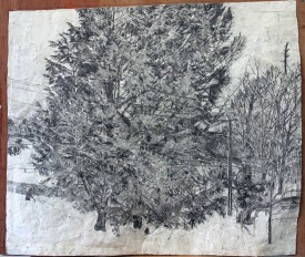 Stanley Lewis, Hemlock Trees Seen from Upstairs Window in the Snow, 2007-2014. Pencil on print paper, 68-3/4 x 59-3/4 inches. Courtesy of Betty Cuningham Gallery.