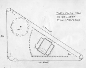 George Trakas, Times Plaza Tree, 2011. Pencil on vellum, 8.5 x 11 inches. Courtesy of the artist.