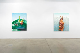 Alexander Ross, installation view of "Recent Terrestrials," 2014, at David Nolan Gallery. Courtesy of David Nolan Gallery.