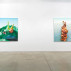 Alexander Ross, installation view of "Recent Terrestrials," 2014, at David Nolan Gallery. Courtesy of David Nolan Gallery.