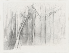 Jake Berthot, Untitled, 1998. Pencil on paper, 20-1/8 x 26-1/8 inches. Museum of Modern Art, New York, The Judith Rothschild Foundation Contemporary Drawings Collection Gift