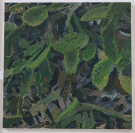 Julian Kreimer, Cactus #4, 2013. OIl on linen, 26 x 26 inches. Courtesy of the artist and Lux Art Institute.