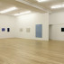 Installation shot of the exhibition under review. Courtesy of Peter Blum Gallery