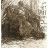 John Lees, In the Park/Early Morning, 2015. Graphite, ink on paper, 11 x 9-1/8 inches. Courtesy of Betty Cuningham Gallery