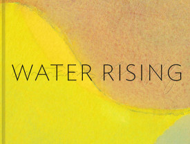 cover of Water Rising by Leila Philip and Garth Evans, New Rivers Press, 2015